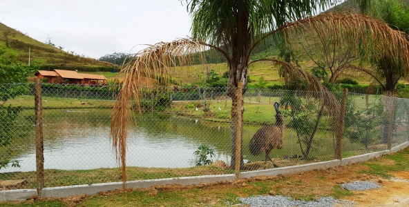 Fazenda Boa Vista - Três Rios - RJ Fazenda Boa Vista - Três Rios - RJ