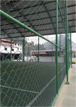 Palmeiras Futebol Clube Palmeiras Futebol Clube