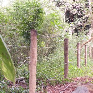 Arame Guará Alta Resistência