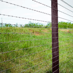 Arame Guará Farpado Galvanizado