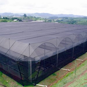 Tela Guará Sombreamento