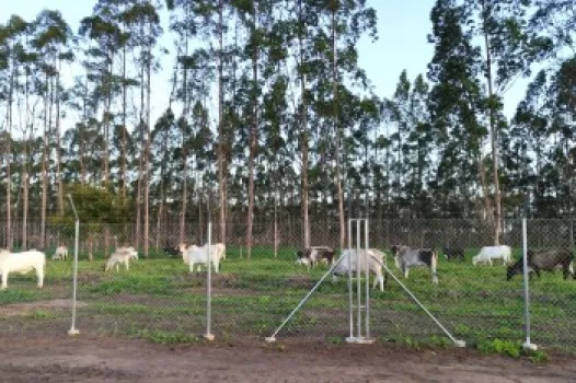 Cercamento Rural